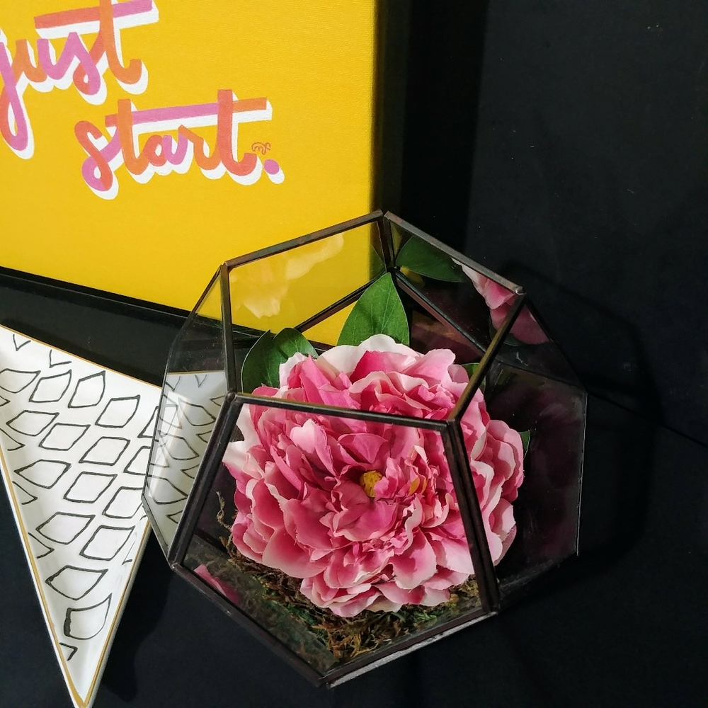 Peony in hexagon vase